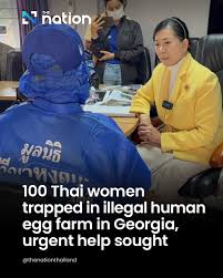 human egg farm