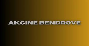 akcine bendrove