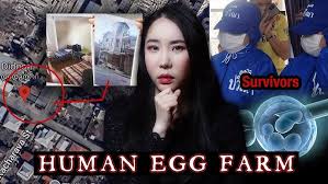 human egg farm